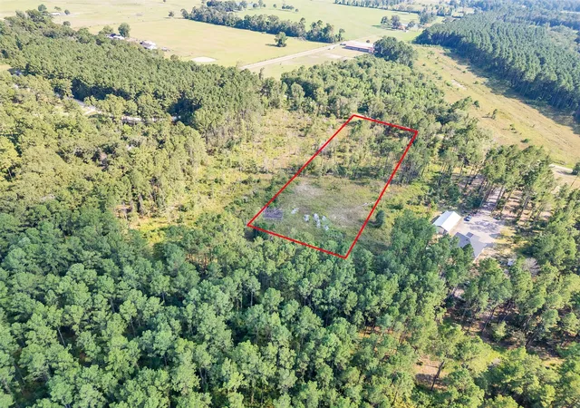 1st image of 211 Thomas Windt Rd, Shepherd, TX 77371 | MLS# 31591617