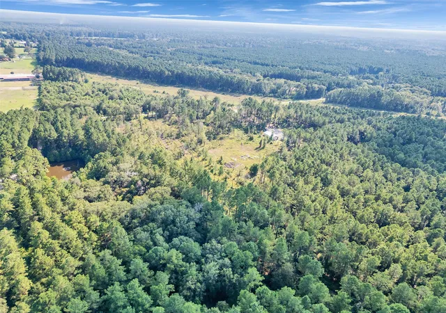 3rd image of 211 Thomas Windt Rd, Shepherd, TX 77371 | MLS# 31591617