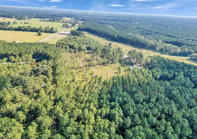 4th image of 211 Thomas Windt Rd, Shepherd, TX 77371 | MLS# 31591617