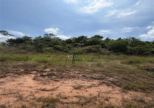 Photo 4 of Land for sale at 4030 Road 5914 17, Cleveland, TX 77327 | MLS# 5093743 | Listing updated on 2026-10-08