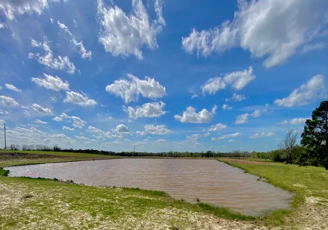 Homes for sale in Lovelady, TX | 3145 Fm 1280 W, Lovelady, TX 75851 | MLS# 58318218