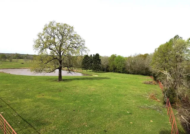 Homes for sale in Lovelady, TX | 3145 Fm 1280 W, Lovelady, TX 75851 | MLS# 58318218