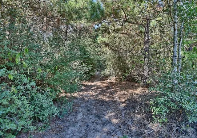 23rd image of 28850 Riley Rd, Waller, TX 77484 | MLS# 91238870