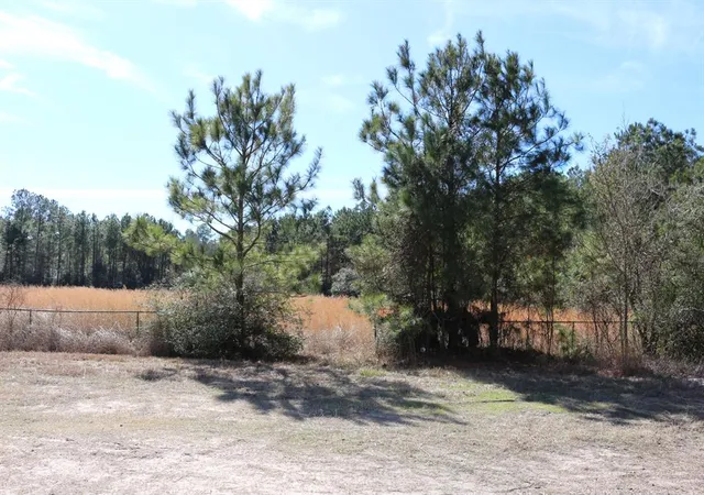 3rd image of 4-1 N Hwy 356, Onalaska, TX 77360 | MLS# 29001865