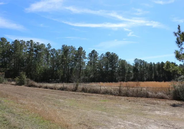 4th image of 4-1 N Hwy 356, Onalaska, TX 77360 | MLS# 29001865