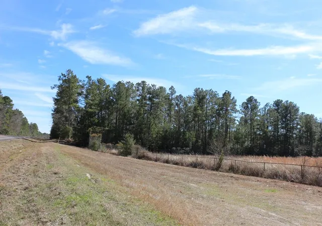 5th image of 4-1 N Hwy 356, Onalaska, TX 77360 | MLS# 29001865