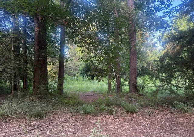 1st image of 23881 Simpson Ln, Saratoga, TX 77585 | MLS# 31195697
