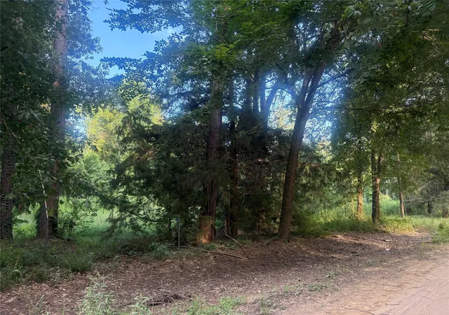 Photo 3 of Land for sale at 23881 Simpson Ln, Saratoga, TX 77585 | MLS# 31195697 | Listing updated on 2026-07-08