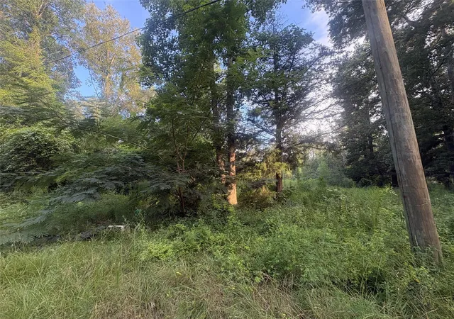 Photo 3 of Land for sale at 23881 Simpson Ln, Saratoga, TX 77585 | MLS# 31195697 | Listing updated on 2026-07-08