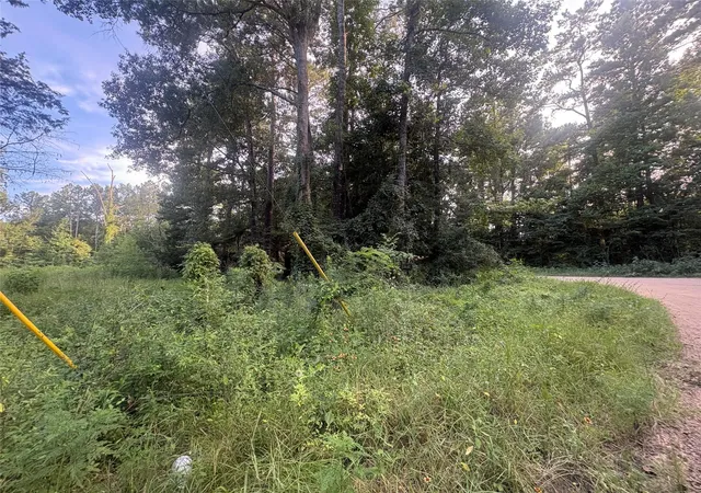 Photo 4 of Land for sale at 23881 Simpson Ln, Saratoga, TX 77585 | MLS# 31195697 | Listing updated on 2026-07-08
