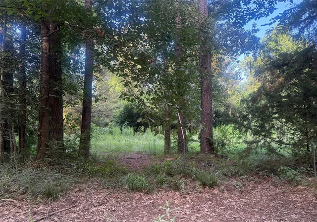 7th image of 23881 Simpson Ln, Saratoga, TX 77585 | MLS# 31195697
