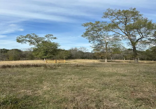 Photo 15 of Land for sale at 4761 Jackson Rd, Montgomery, TX 77316 | MLS# 23982411 | Listing updated on 2026-05-12