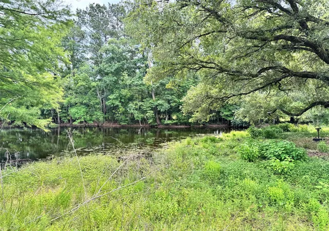 Photo 2 of Land for sale at 4761 Jackson Rd, Montgomery, TX 77316 | MLS# 23982411 | Listing updated on 2026-05-12