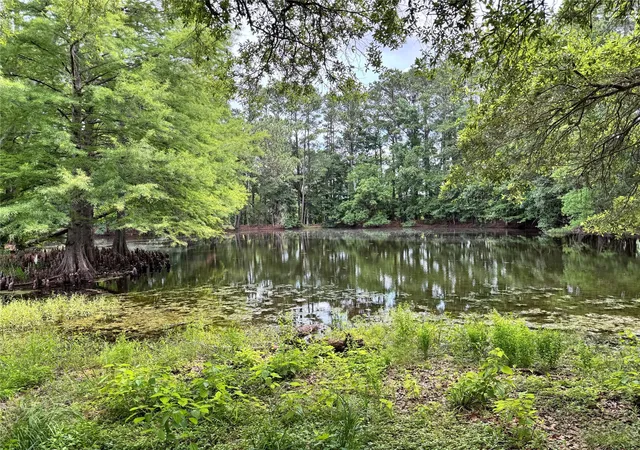 Photo 4 of Land for sale at 4761 Jackson Rd, Montgomery, TX 77316 | MLS# 23982411 | Listing updated on 2026-05-12