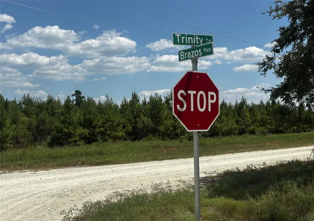 2nd image of Tbd Trinity Trail, Lovelady, TX 75851 | MLS# 63104393