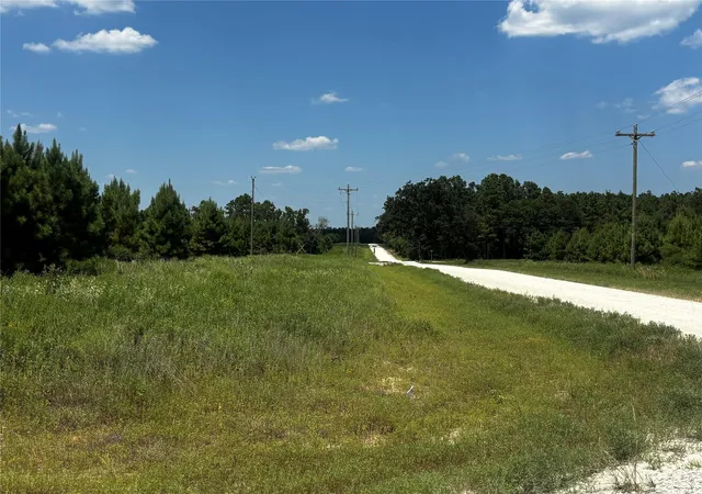 5th image of Tbd Trinity Trail, Lovelady, TX 75851 | MLS# 63104393