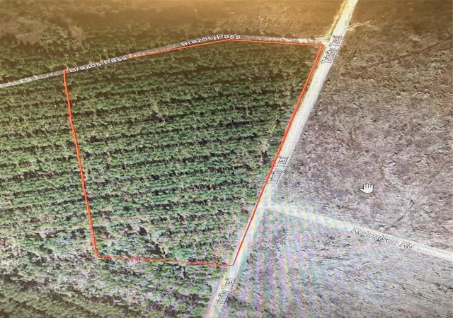 8th image of Tbd Trinity Trail, Lovelady, TX 75851 | MLS# 63104393