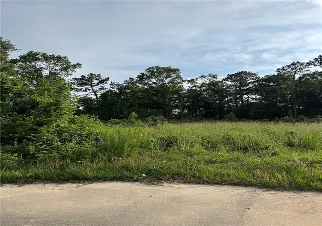 Photo 1 of Land for sale at Tbd Pine Bend, Cleveland, TX 77327 | MLS# 17694485 | Listing updated on 2026-05-01