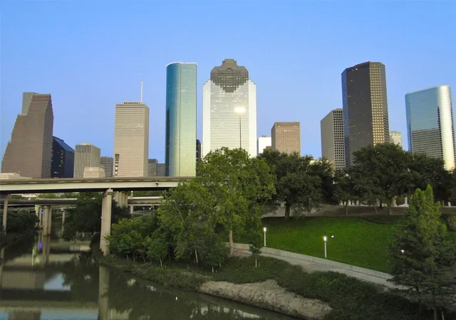47th image of 8097 El Mundo St #8097, Houston, TX 77054 | MLS# 18813607
