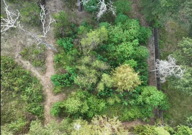 Photo 19 of Land for sale at 1112 Columbia River Rd, Conroe, TX 77316 | MLS# 62453880 | Listing updated on 2026-09-08
