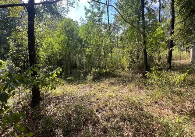 Photo 1 of Land for sale at 1112 Columbia River Rd, Conroe, TX 77316 | MLS# 62453880 | Listing updated on 2026-09-08