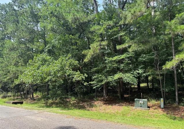 Photo 1 of Land for sale at 75 Green Tree Dr, Coldspring, TX 77331 | MLS# 65715319 | Listing updated on 2026-06-19