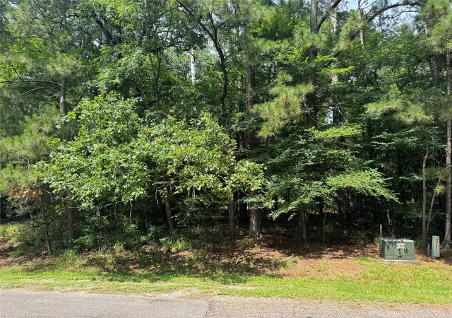 Photo 2 of Land for sale at 75 Green Tree Dr, Coldspring, TX 77331 | MLS# 65715319 | Listing updated on 2026-06-19