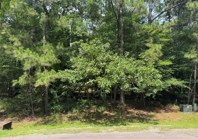 Photo 3 of Land for sale at 75 Green Tree Dr, Coldspring, TX 77331 | MLS# 65715319 | Listing updated on 2026-06-19