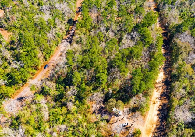 Photo 3 of Land for sale at Lot N 35 Friar Tuck Dr, Woodville, TX 75979 | MLS# 3161974 | Listing updated on 2026-09-11