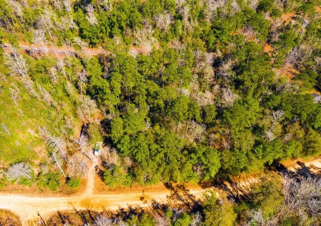Photo 3 of Land for sale at Lot N 35 Friar Tuck Dr, Woodville, TX 75979 | MLS# 3161974 | Listing updated on 2026-09-11
