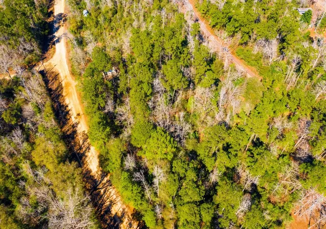 Photo 4 of Land for sale at Lot N 35 Friar Tuck Dr, Woodville, TX 75979 | MLS# 3161974 | Listing updated on 2026-09-11
