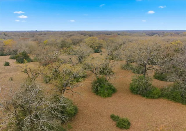 Photo 3 of Land for sale at Tbd Fm 3371, Groesbeck, TX 76642 | MLS# 36425962 | Listing updated on 2026-03-11