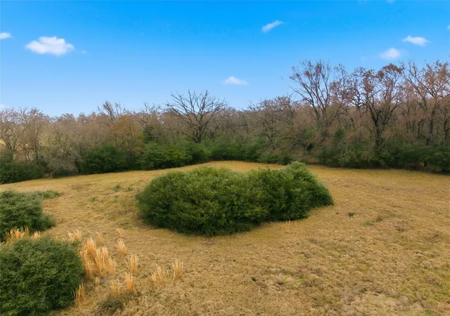 Photo 4 of Land for sale at Tbd Fm 3371, Groesbeck, TX 76642 | MLS# 36425962 | Listing updated on 2026-03-11