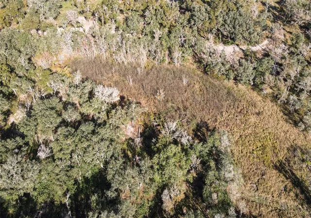 4th image of 000 County Road 461, Blessing, TX 77419 | MLS# 40753702