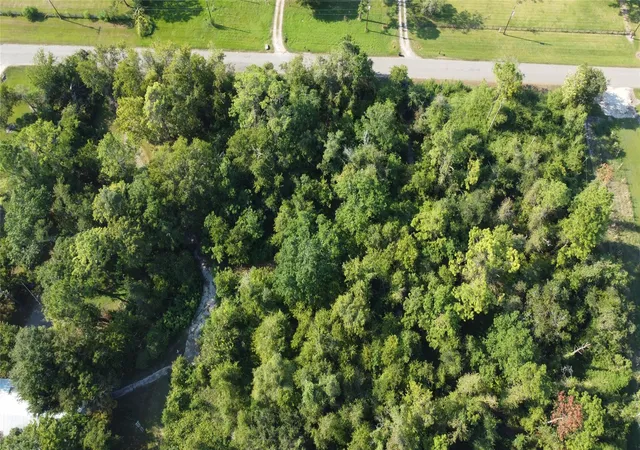 13th image of 4925 County Road 435, Alvin, TX 77511 | MLS# 3370583