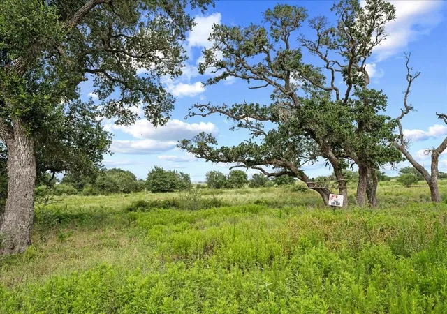1st image of Tbd Teal Lane, Columbus, TX 78934 | MLS# 37684994