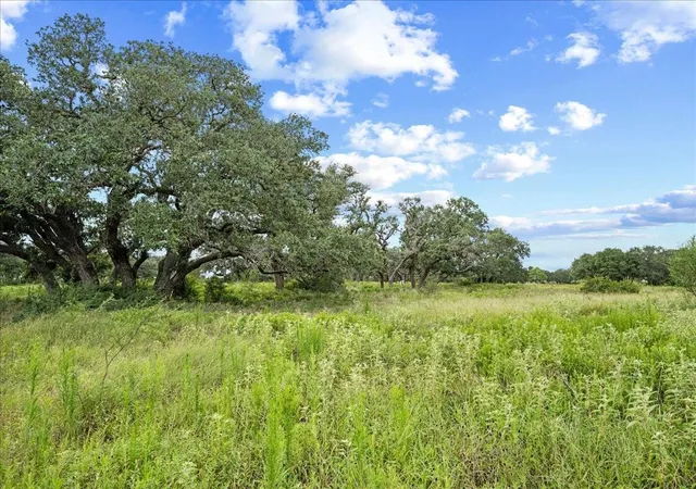 3rd image of Tbd Teal Lane, Columbus, TX 78934 | MLS# 37684994