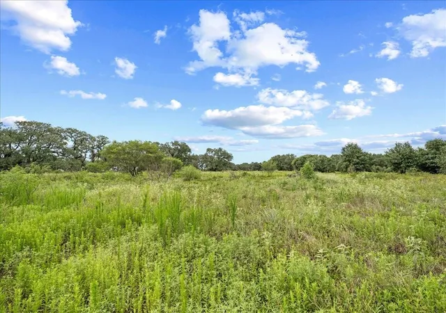 4th image of Tbd Teal Lane, Columbus, TX 78934 | MLS# 37684994