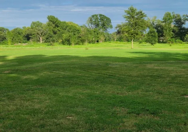 1st image of 1167 County Road 2125, Crockett, TX 75835 | MLS# 85279819