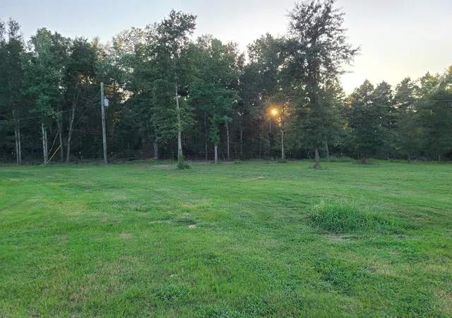 2nd image of 1167 County Road 2125, Crockett, TX 75835 | MLS# 85279819