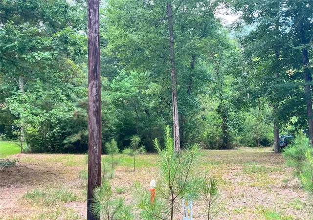 Photo 2 of Land for sale at Tbd Little Crk Dr, Coldspring, TX 77331 | MLS# 59389291 | Listing updated on 2026-07-18