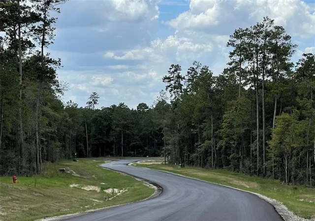 Photo 3 of Land for sale at 15988 Wood Grove Way, Willis, TX 77378 | MLS# 93518870 | Listing updated on 2026-09-05
