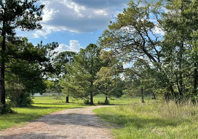 Photo 3 of Land for sale at 15988 Wood Grove Way, Willis, TX 77378 | MLS# 93518870 | Listing updated on 2026-09-05