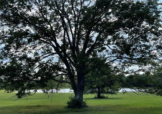 Photo 4 of Land for sale at 15988 Wood Grove Way, Willis, TX 77378 | MLS# 93518870 | Listing updated on 2026-09-05
