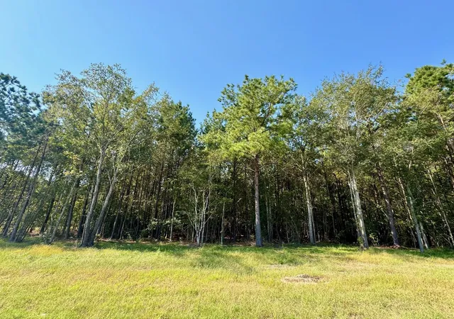 1st image of Tbd Stonebrook Dr, Livingston, TX 77351 | MLS# 45726885
