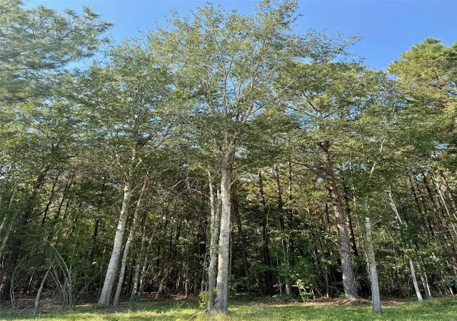2nd image of Tbd Stonebrook Dr, Livingston, TX 77351 | MLS# 45726885