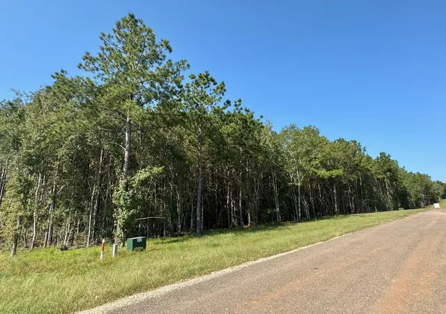 3rd image of Tbd Stonebrook Dr, Livingston, TX 77351 | MLS# 45726885