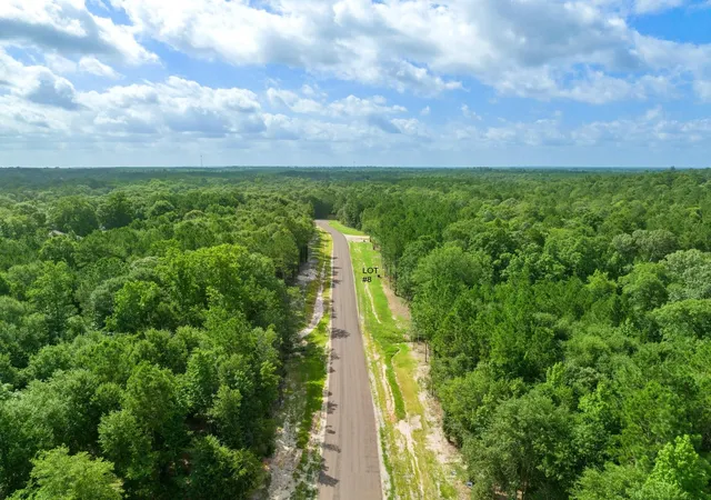4th image of Tbd Stonebrook Dr, Livingston, TX 77351 | MLS# 45726885