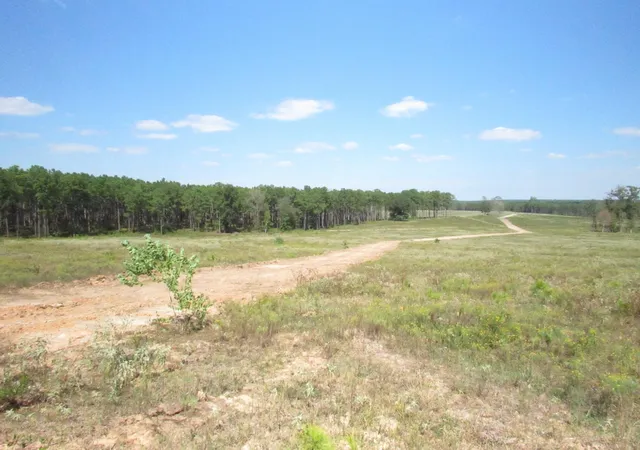 1st image of Tbd22 Fm 256 N, Woodville, TX 75979 | MLS# 37254752