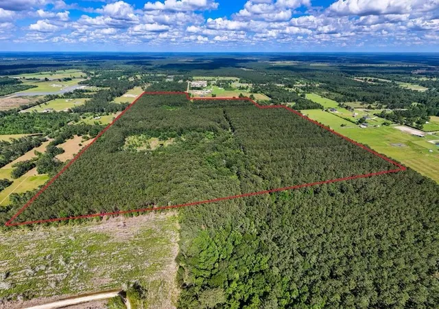 Homes for sale in Kirbyville, TX | Xxx Private Rd 5170, Kirbyville, TX 75956 | MLS# 5124095